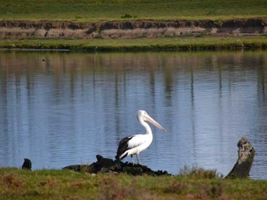 Grahams wetland reserve, Werribee, VIC