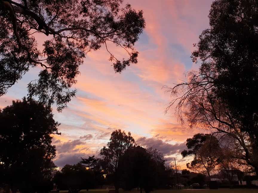 Halley Park, Bentleigh, VIC