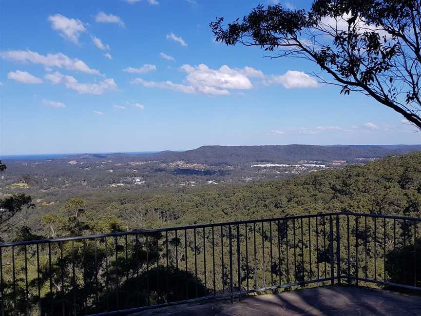Katandra Reserve, Holgate, NSW