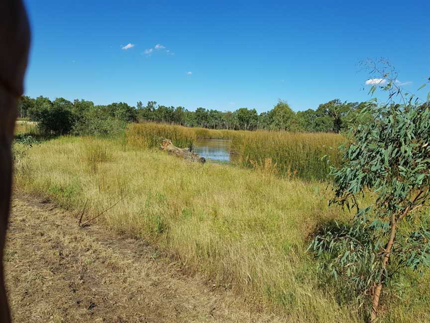 Kinnairds Wetland, Numurkah, VIC