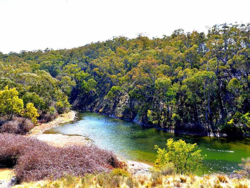 Marrangaroo National Park, Wallerawang, NSW