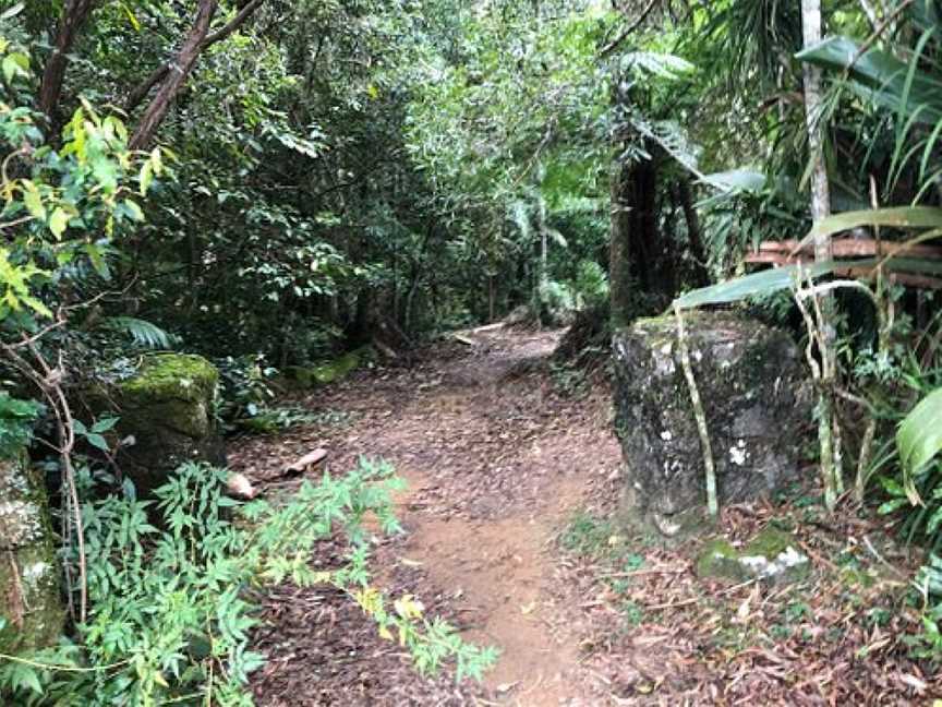 Tallanbana Picnic Area, Springbrook, QLD