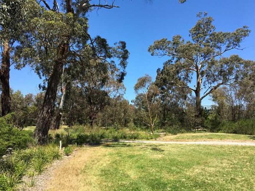 Yarrabing Wetlands Reserve, Wantirna, VIC