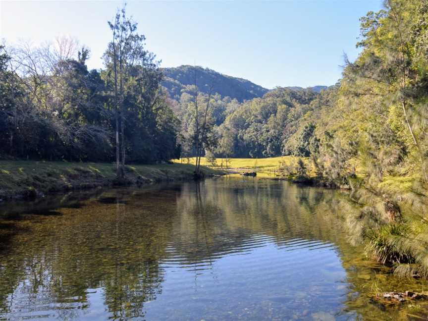 Bellinger River National Park, Dorrigo, NSW