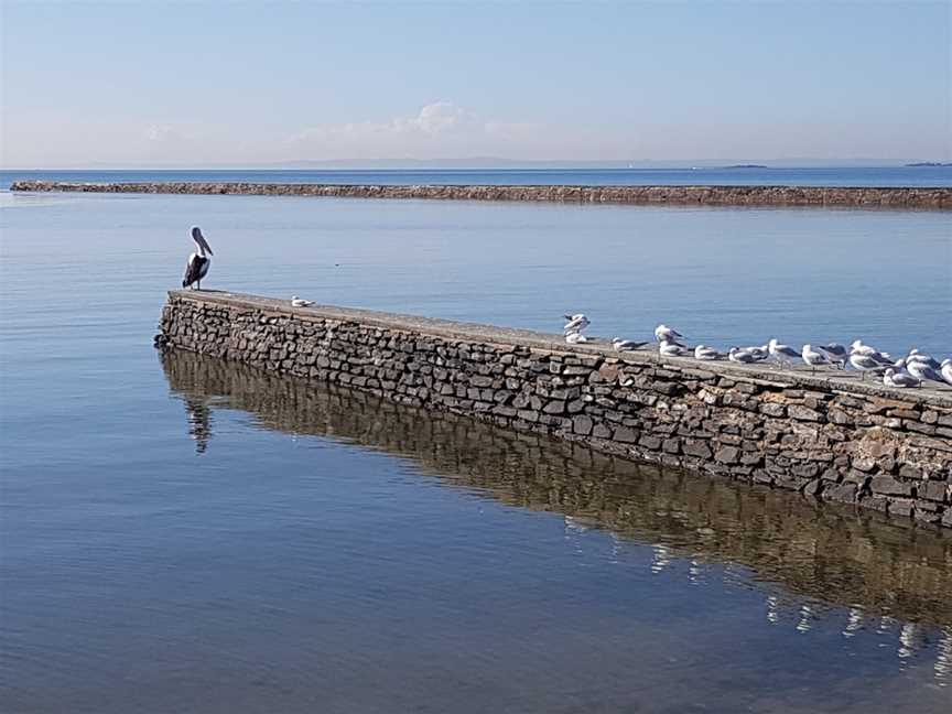 Breakwater Park, Wynnum, QLD