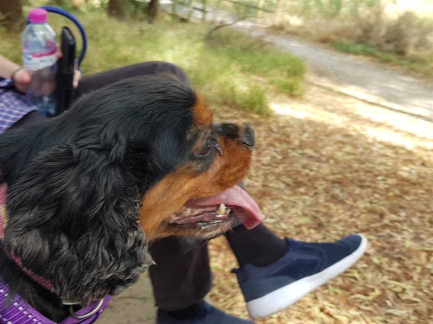 Brooker Park, Warragul, VIC