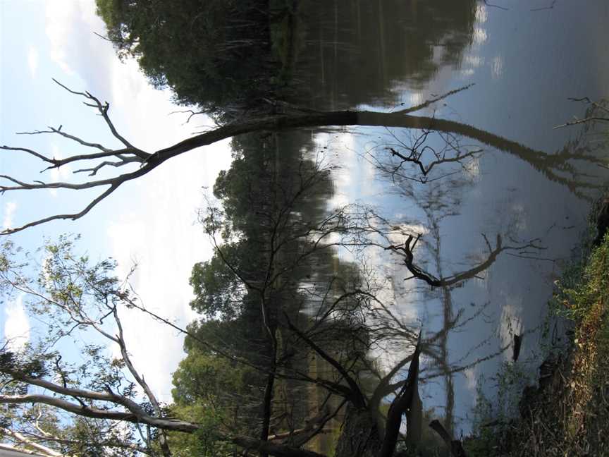 Condamine River, Condamine, QLD