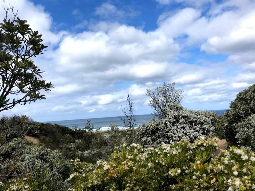 Cutlers Beach, Wonthaggi, VIC