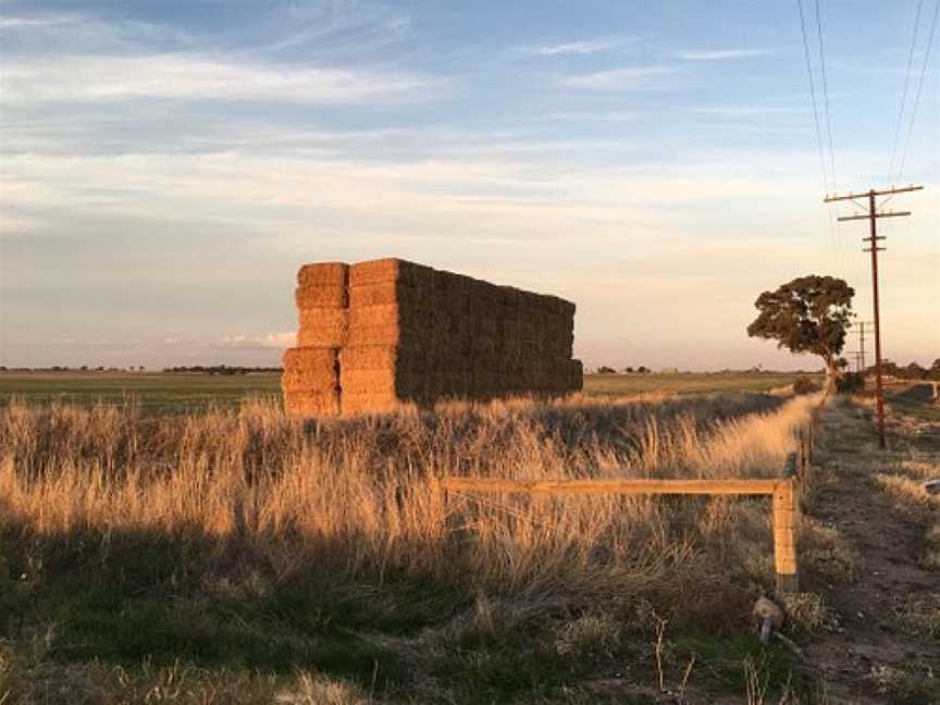 Dimboola Native Fauna and Flora Reserve, Dimboola, VIC