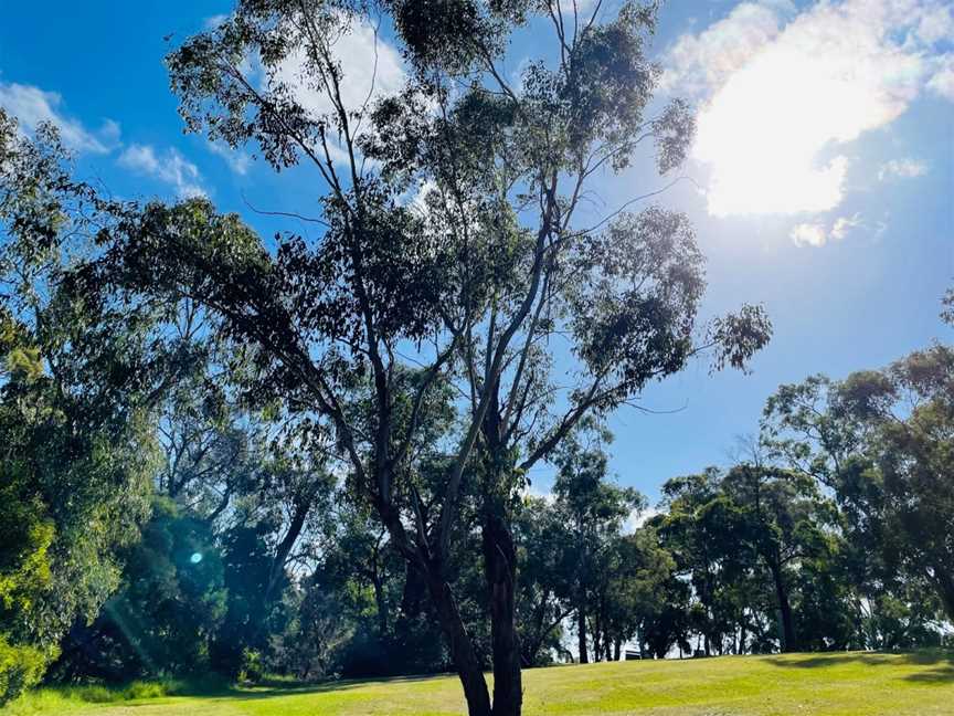 Forest Hill Reserve, Forest Hill, VIC