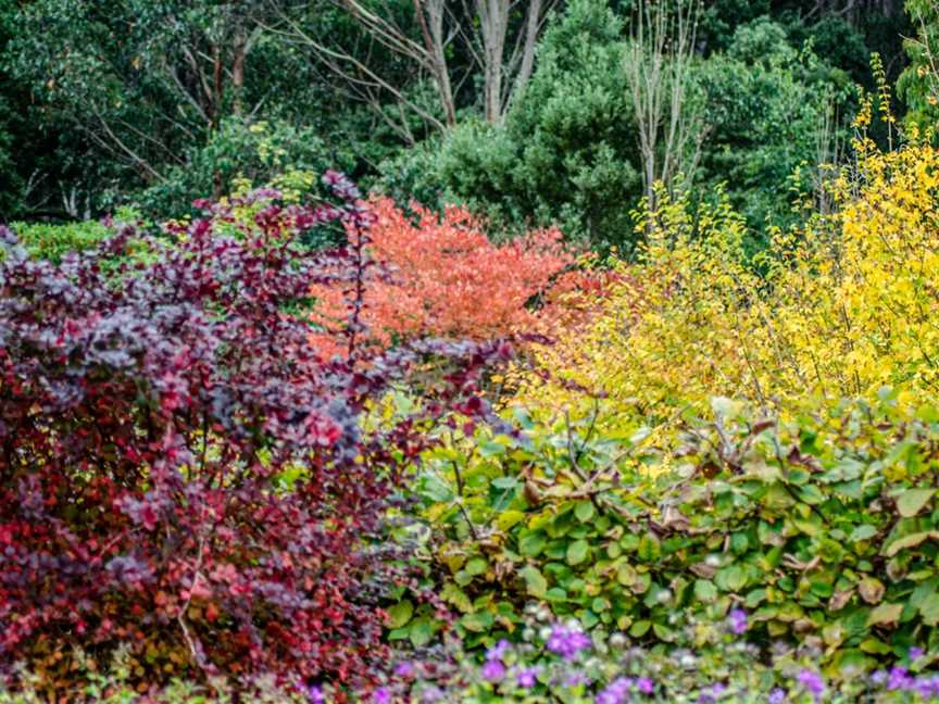 Frogmore Gardens, Newbury, VIC