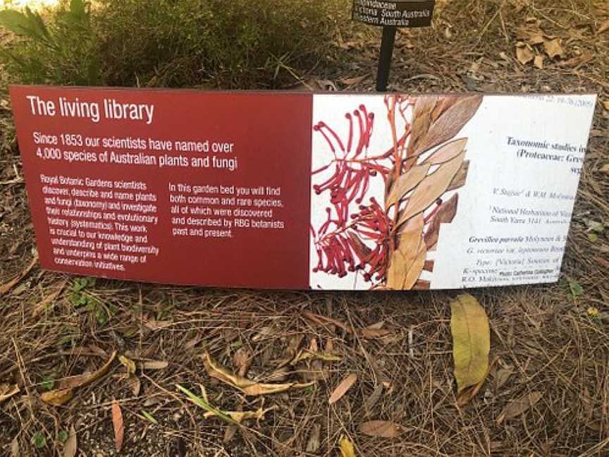 Herbarium Discovery Walk, Melbourne, VIC