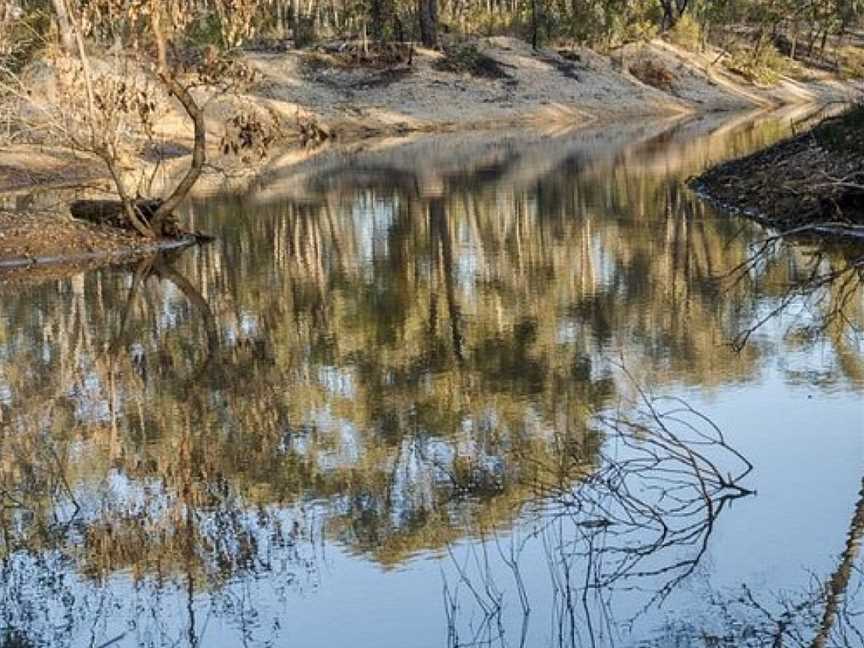 Long Forest Flora and Fauna Reserve, Bacchus Marsh, VIC