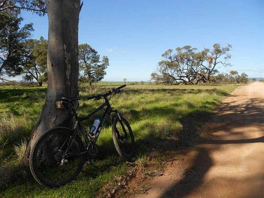 Mawson Trail, Adelaide, SA