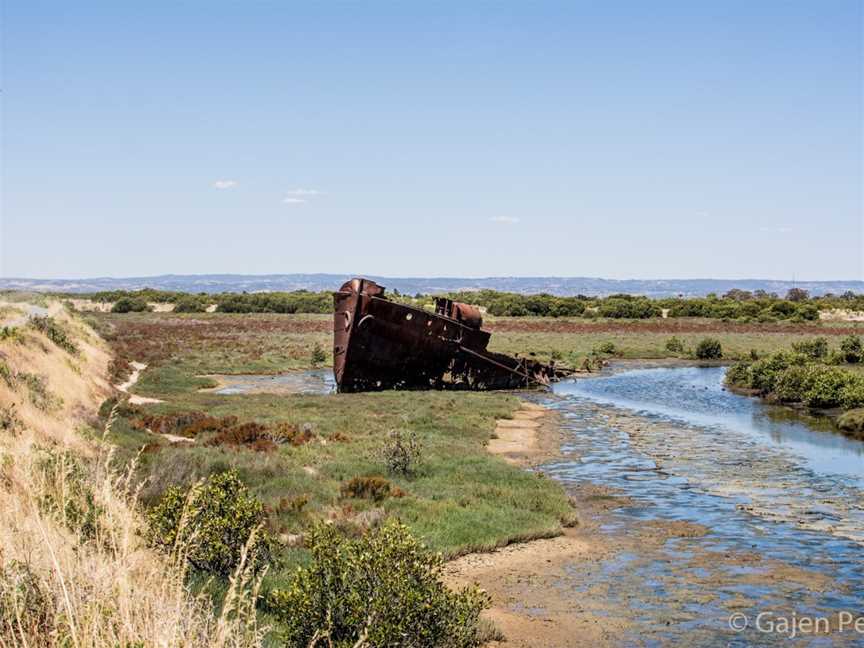 Mutton Cove Conservation Reserve, Port Adelaide, SA