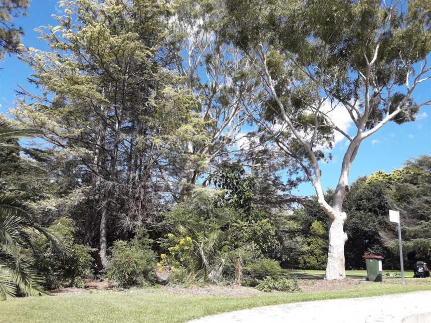 Rockdale Park, Rockdale, NSW