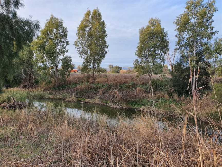 Rose Lee Park, Quirindi, NSW