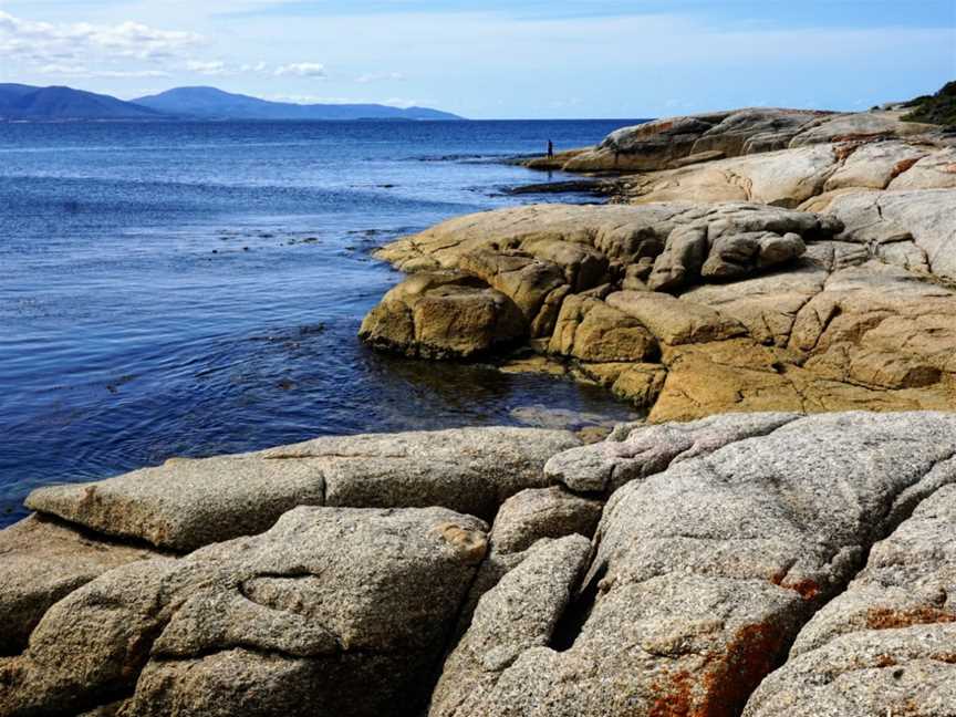 Bicheno - National Whale Trail, Bicheno, TAS