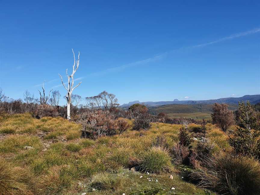 Black Bluff Nature Recreation Area, Middlesex, TAS