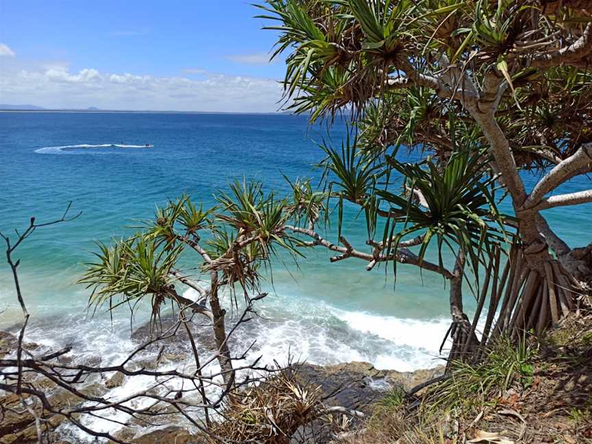 Boiling Pot Lookout, Noosa, QLD