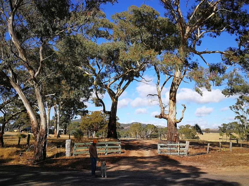 Clunes Bushland Reserve, Clunes, VIC