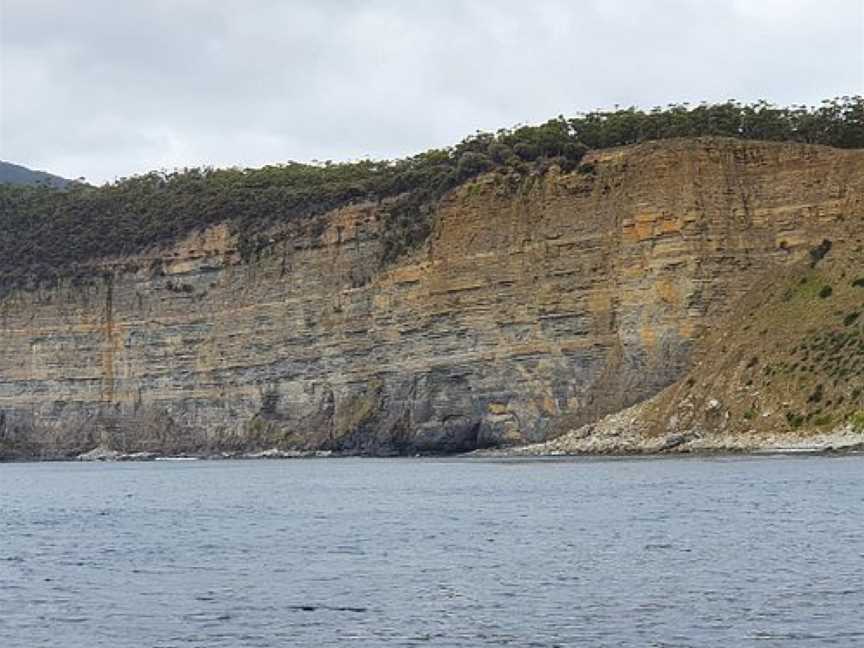 Fossil Cliffs, Triabunna, TAS