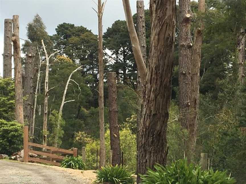 Jessie Traill Nature Reserve, Narre Warren, VIC