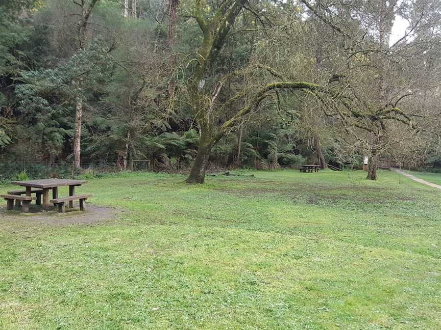 Kays Picnic Ground, Monbulk, VIC