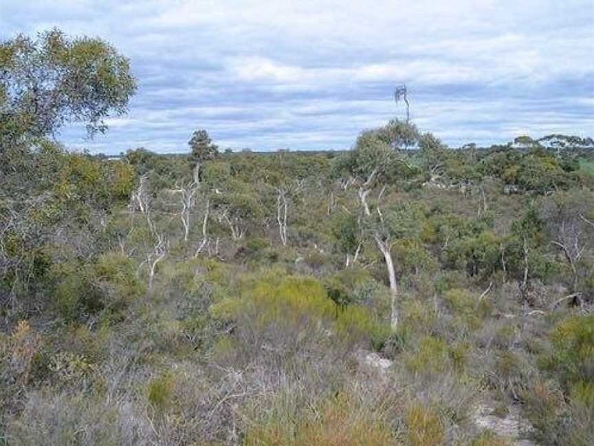 Kelvin Powrie Conservation Reserve, Keith, SA