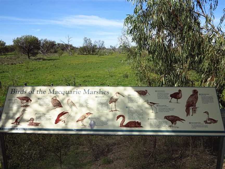 Macquarie Marshes Bird Viewing Platform, Quambone, NSW
