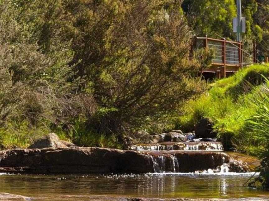 New Town Rivulet Park, Hobart, TAS