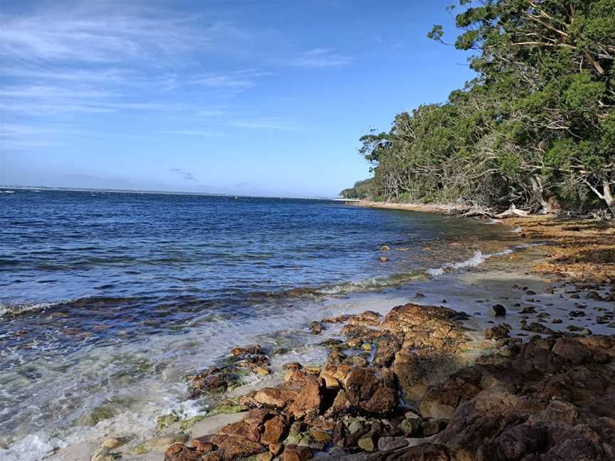 Nelson Bay Beach, Nelson Bay, NSW
