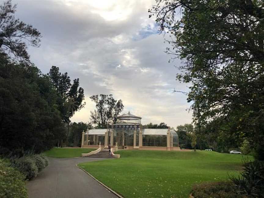 Palm House - Adelaide Botanic Garden, Adelaide, SA