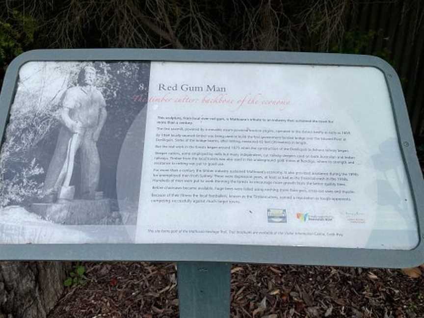 Red Gum Man, Mathoura, NSW