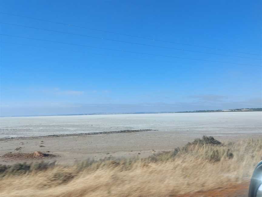 Salt Lake Lookout, North Lake Grace, WA