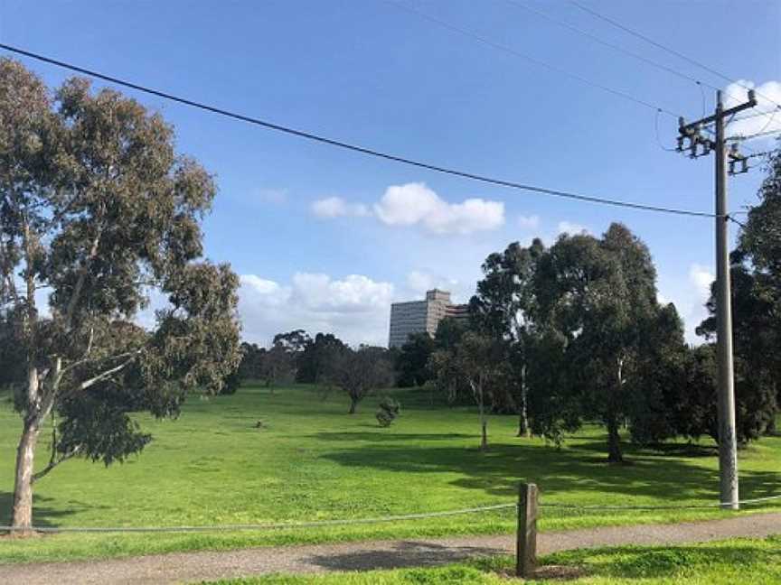 TH Westerfield Reserve, Clifton Hill, VIC