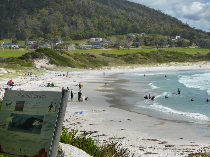 Taylors Beach, The Gardens, TAS