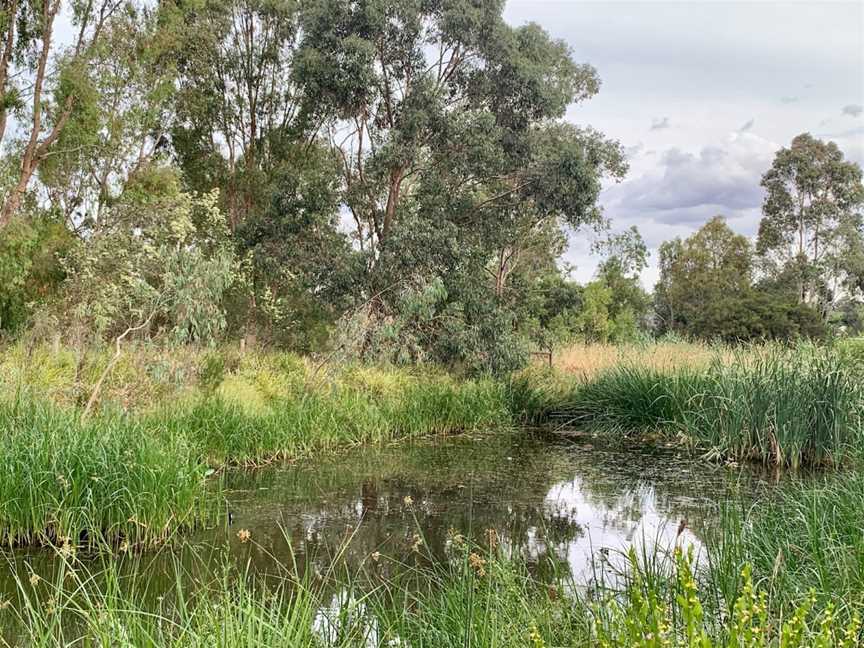 Troups Creek Retarding Basin, Narre Warren, VIC