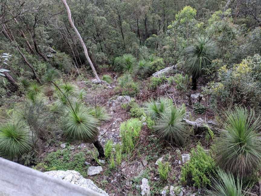 Westridge Outlook, Mount Glorious, QLD