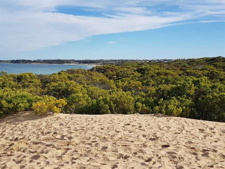 Whites Beach, Torquay, VIC