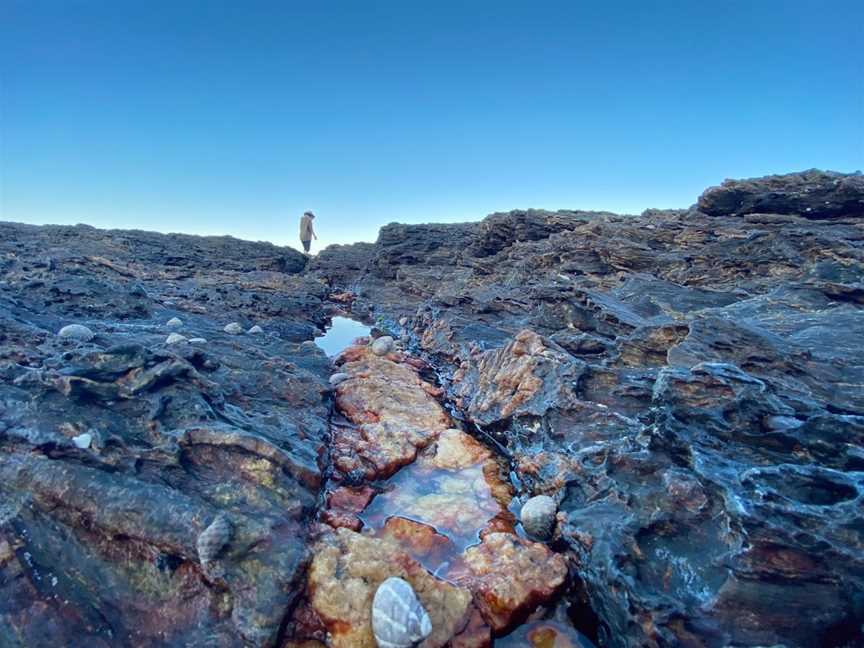Wellington Rocks, Nambucca Heads, NSW