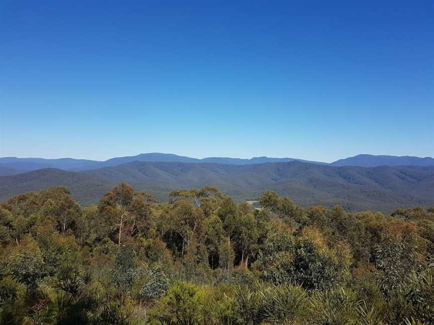 Bimberamala National Park, Mogood, NSW
