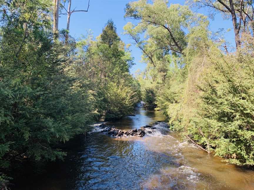 Blackwood Suspension Bridge, Murrindindi, VIC