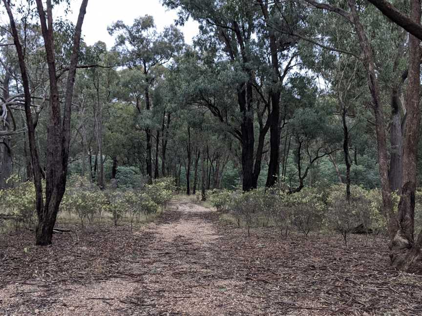 Jindalee National Park, Cootamundra, NSW