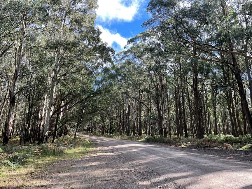 Mares Forest National Park, Oberon, NSW