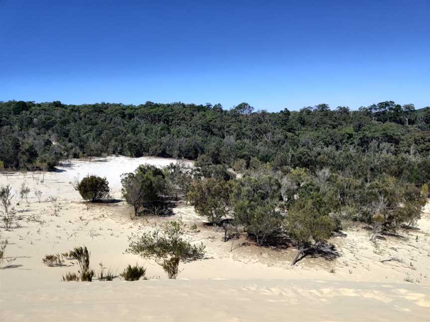 Moreton Island Desert, Moreton Island, QLD