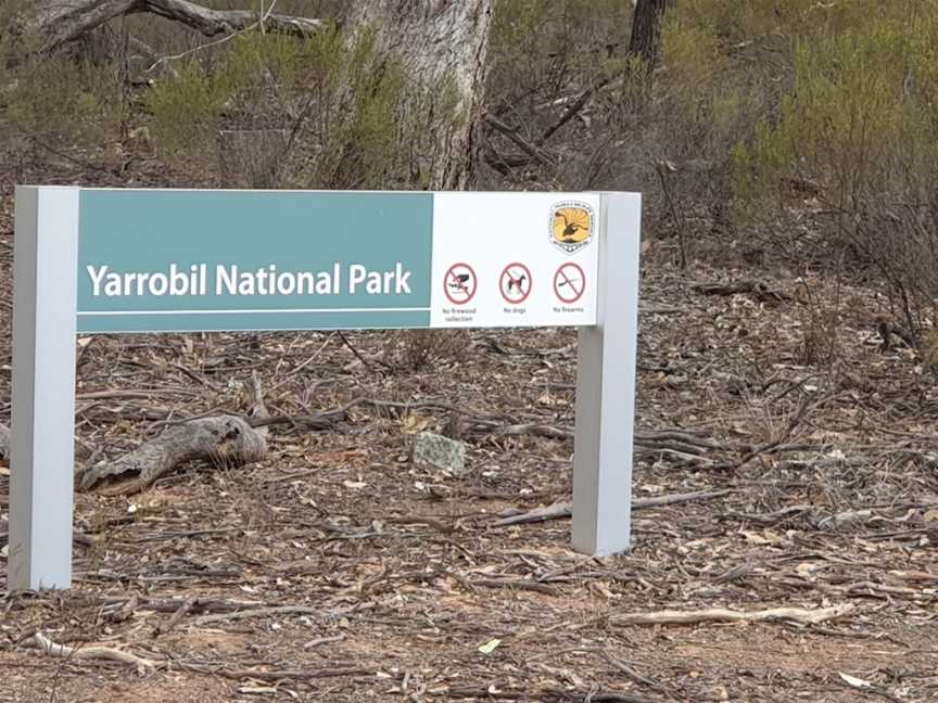 Yarrobil National Park, Gulgong, NSW