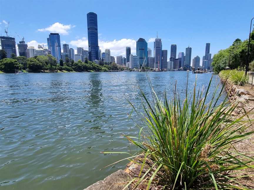 Kangaroo Point Cliffs Park, Kangaroo Point, QLD