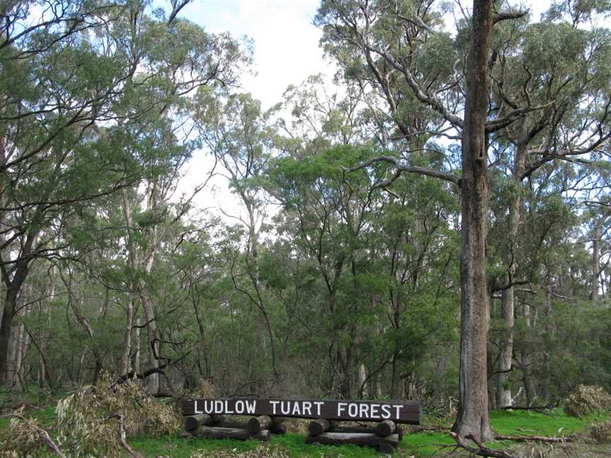 Tuart Forest National Park, Ludlow, WA