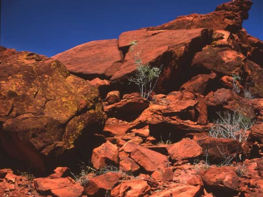 Napwerte / Ewaninga Rock Carvings Conservation Reserve, Alice Springs, NT